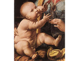 The Madonna of the Carnation (detail 2) 1478-80 artwork preview