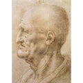 Study of an Old Man's Profile 