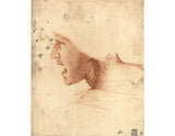 Head of a Warrior (or 'The Red Head') artwork preview