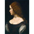 Portrait of a Young Lady 