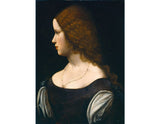 Portrait of a Young Lady artwork preview