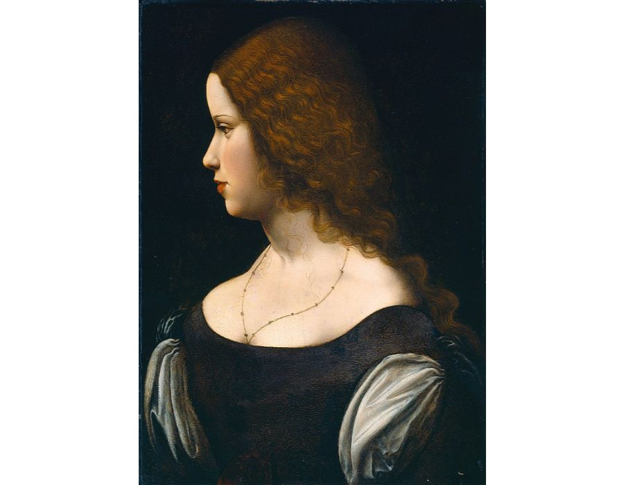 Portrait of a Young Lady 