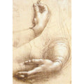 Study of hands 