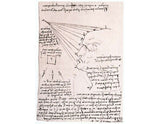 Study Of The Effect Of Light On A Profile Head Facsimile artwork preview