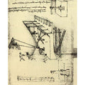 Siege Defenses 