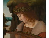 Narcissus artwork preview