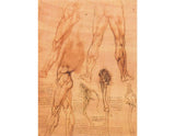 Studies of legs of man and the leg of a horse artwork preview
