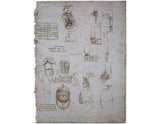 Studies Of The Villa Melzi And Anatomical Study artwork preview