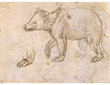 Studies of a Bear Walking artwork preview