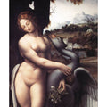 Leda (detail) 1508-15 