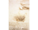 Studies Of Water artwork preview