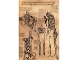 skeletons artwork preview