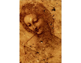 Head of Leda 2 artwork preview
