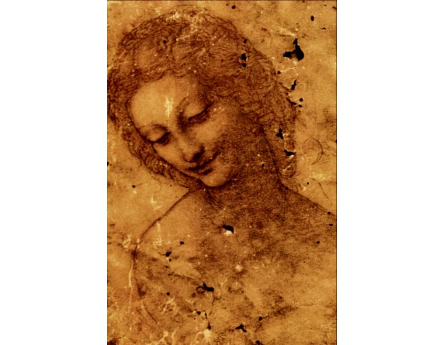Head of Leda 2 