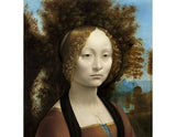 Portrait of a noblewoman artwork preview