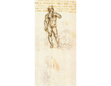 Study of David by Michelangelo (detail) artwork preview