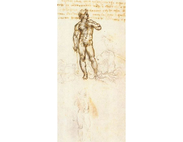 Study of David by Michelangelo (detail) 