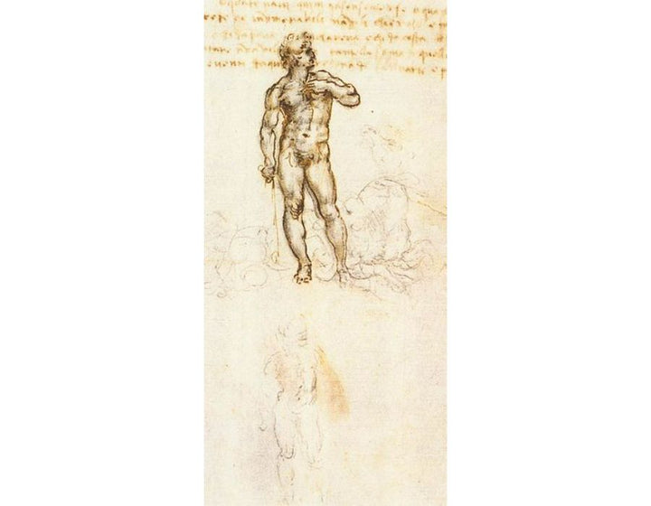 Study of David by Michelangelo (detail) 