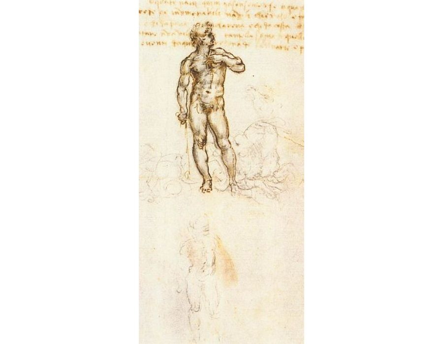 Study of David by Michelangelo (detail) 