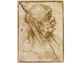 Caricature of an Old Woman artwork preview