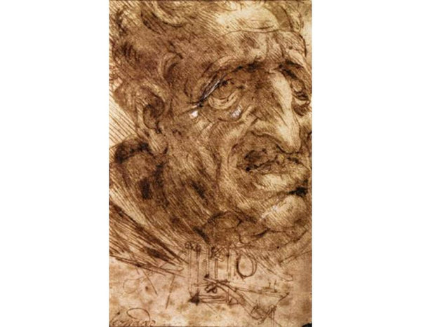 Head of an Old Man 