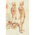 The anatomy of a male nude and a battle scene 