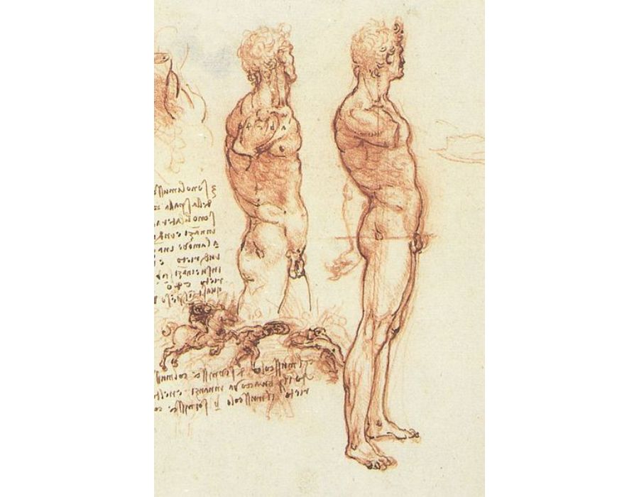 The anatomy of a male nude and a battle scene 