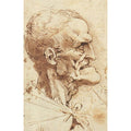 Grotesque Profile

