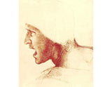 Study of a Figure for the Battle of Anghiari artwork preview