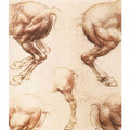 Study Of Horses 2 