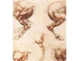 Study Of Horses 2 artwork preview