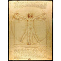 Vitruvian Man 