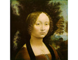 Portrait of Ginevra de' Benci 1474-46 artwork preview