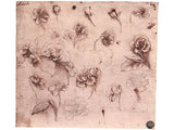 Flower Studies artwork preview