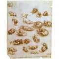 Study Sheet With Cats Dragon And Other Animals 
