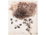 Star of Bethlehem and other plants artwork preview