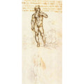 Study of David by Michelangelo 