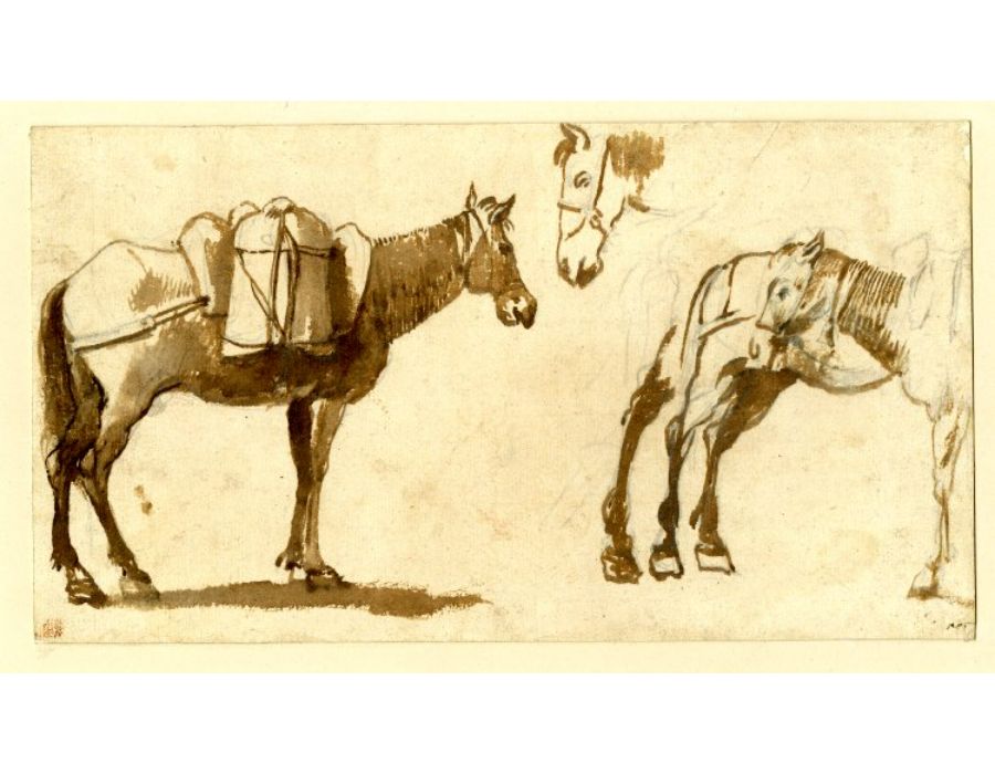 Drawing of mules, including one full length 