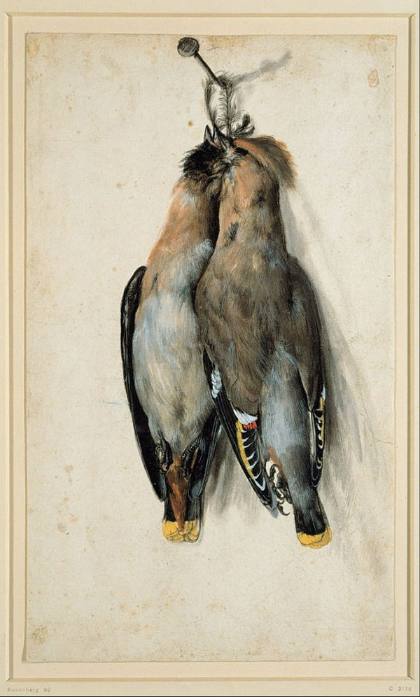 Still life with birds 
