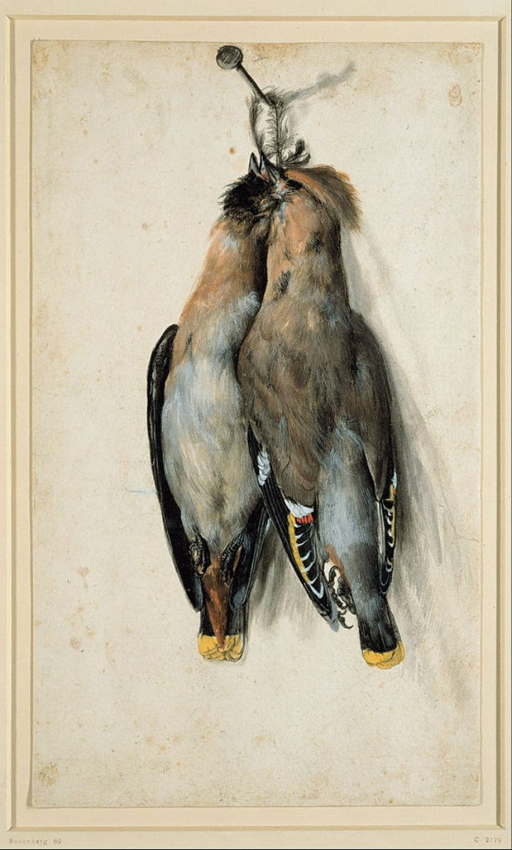 Still life with birds 