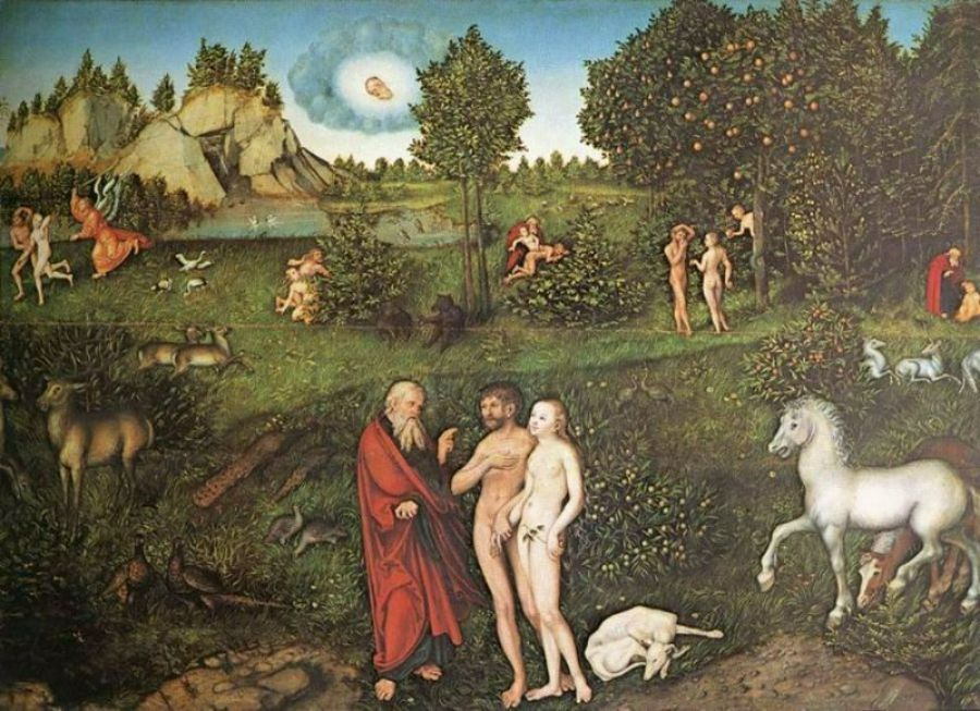 The Paradise 1530 