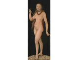 Lucretia c. 1524 artwork preview