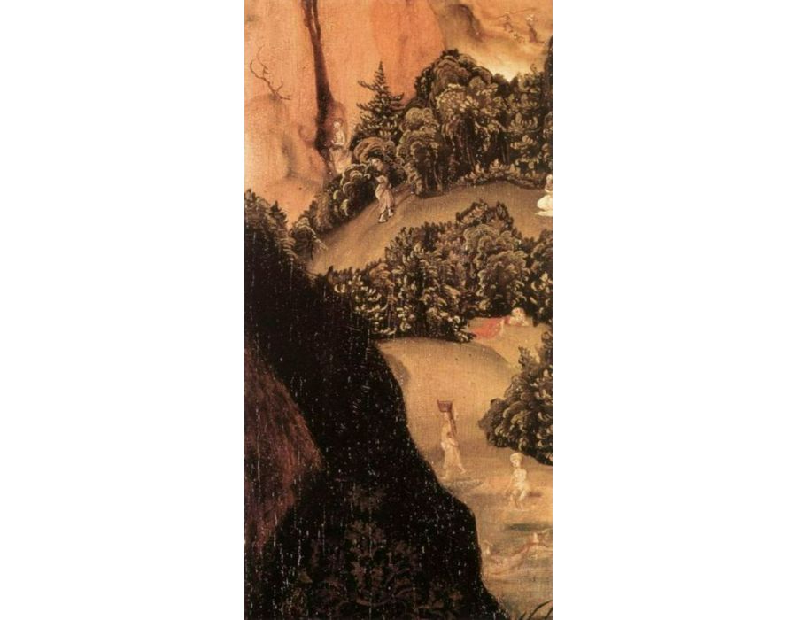 Portrait of Dr. Johannes Cuspinian (detail 3) c. 1502 