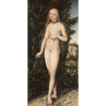 Venus Standing in a Landscape 1529 