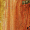 Pisa polyptych St Augustine 