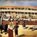 The Bullfight
