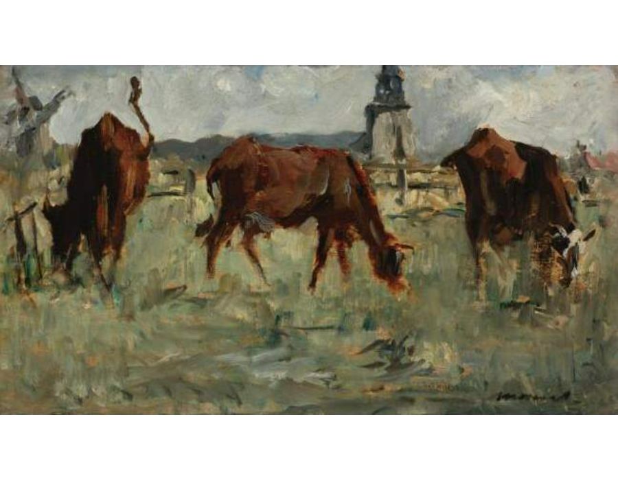 Vaches Au Paturage 