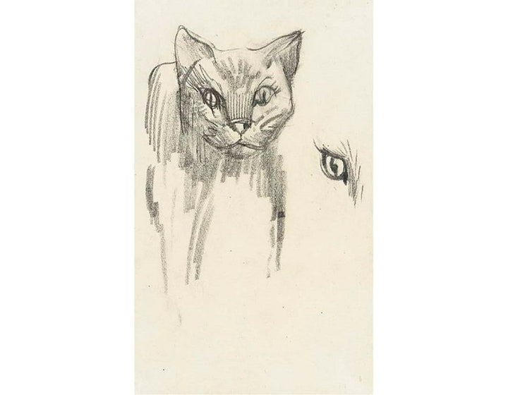 Katze 