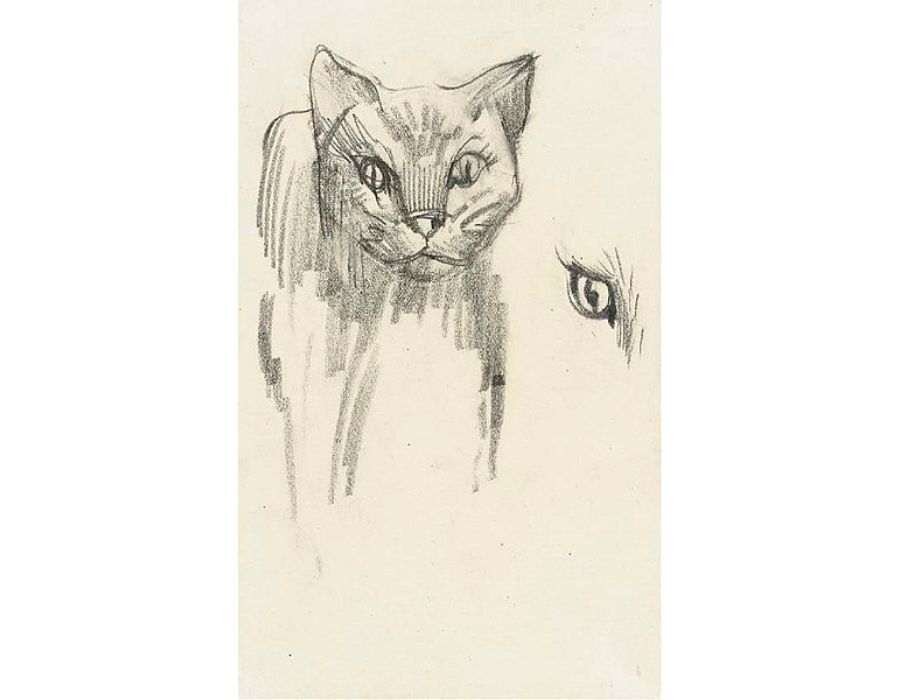 Katze 