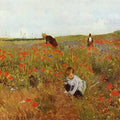 les coquelicots 